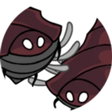 Great Conchflies